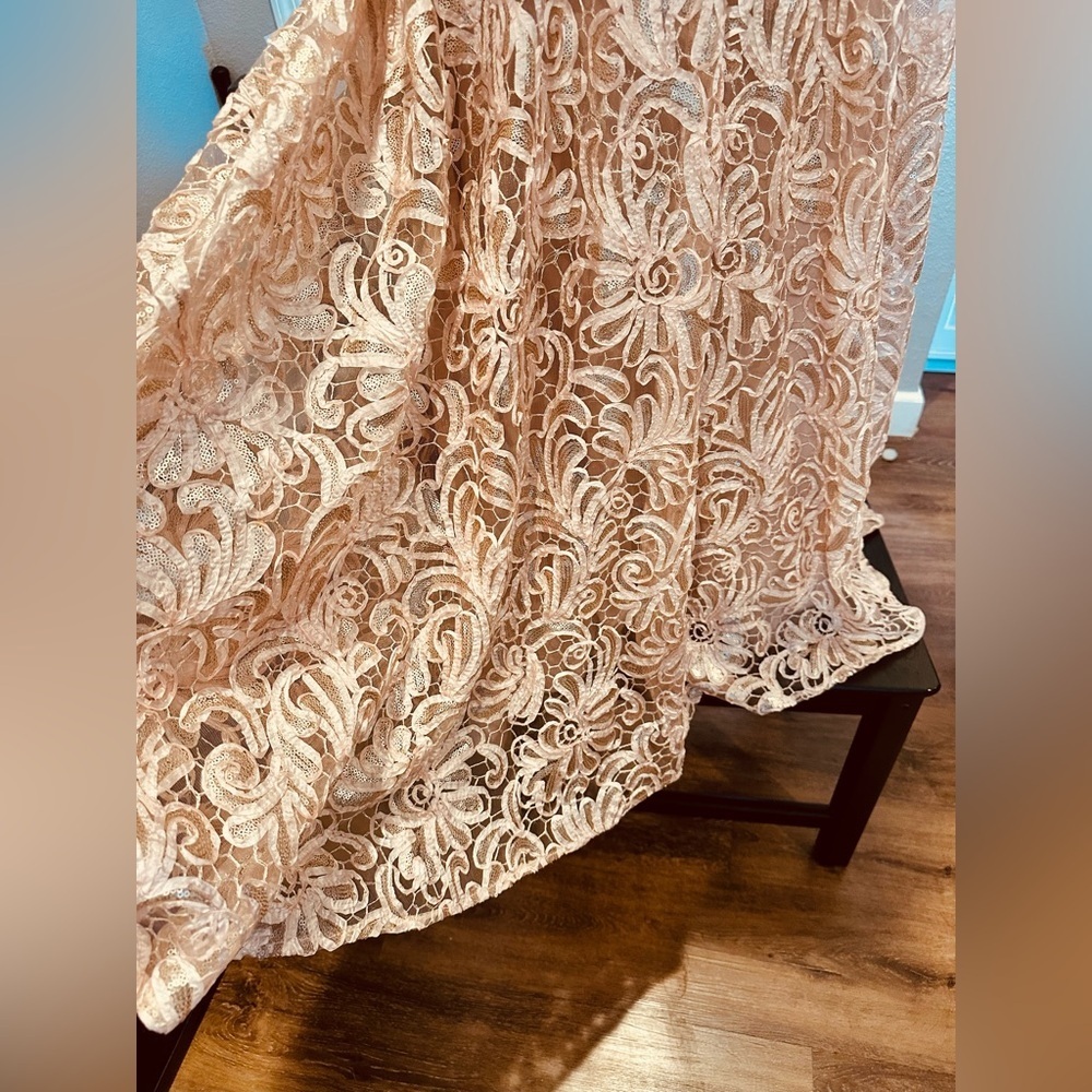 Betsy & Adam Lace & Sequin Formal Dress - Picture 12 of 12